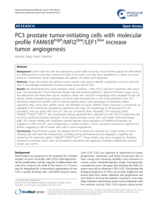 PC3 prostate tumor-initiating cells with molecular profile FAM65B /MFI2 /LEF1
