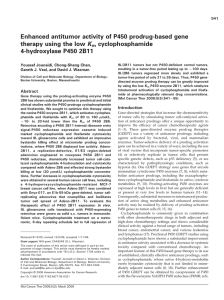 Enhanced antitumor activity of P450 prodrug-based gene cyclophosphamide 4-hydroxylase P450 2B11