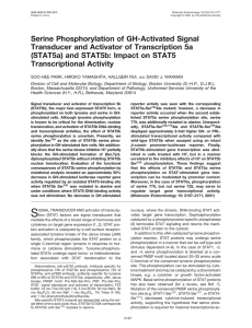 Serine Phosphorylation of GH-Activated Signal Transducer and Activator of Transcription 5a