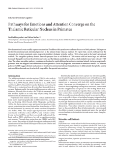 Pathways for Emotions and Attention Converge on the Behavioral/Systems/Cognitive Basilis Zikopoulos