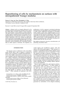 Repositioning of cells by mechanotaxis on surfaces with micropatterned Young’s modulus