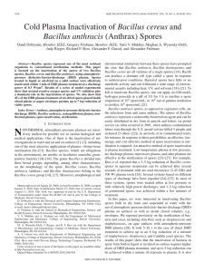 Bacillus cereus Bacillus anthracis Member, IEEE