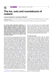 The ins, outs and roundabouts of malaria Lawrence Bannister and Graham Mitchell