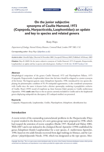 On the junior subjective Coullia (Copepoda, Harpacticoida, Laophontidae): an update