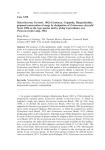 Case 3470 Ectinosoma chrystalii Halectinosoma
