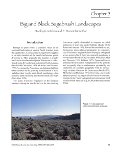 Big and Black Sagebrush Landscapes Chapter 5 Introduction