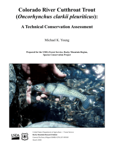 Colorado River Cutthroat Trout Oncorhynchus clarkii pleuriticus A Technical Conservation Assessment