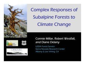 Complex Responses of Subalpine Forests to Climate Change Connie Millar, Robert Westfall,