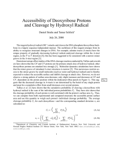 Accessibility of Deoxyribose Protons and Cleavage by Hydroxyl Radical July 26, 2000