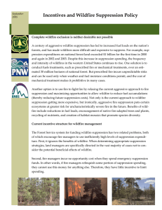 Incentives and Wildfire Suppression Policy