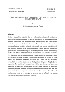 RELATIVE SIZE AND GIRTH SELECTIVITY OF COD  GILLNETS ... THE WESTERN BALTIC