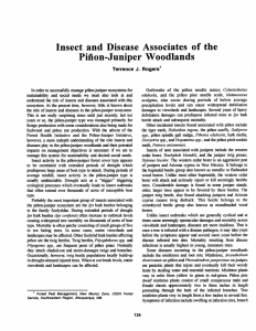 Insect  and  Disease  Associates  of the Terrence