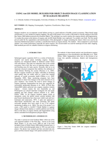 USING A GIS MODEL BUILDER FOR OBJECT-BASED IMAGE CLASSIFICATION OF SEAGRASS MEADOWS RC