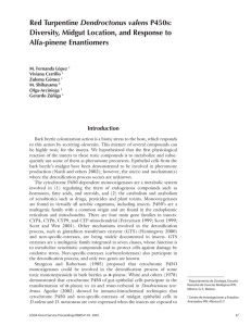 Dendroctonus valens Diversity, Midgut Location, and Response to Alfa-pinene Enantiomers Introduction