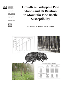 Growth of Lodgepole Pine Stands and Its Relation to Mountain Pine Beetle Susceptibility