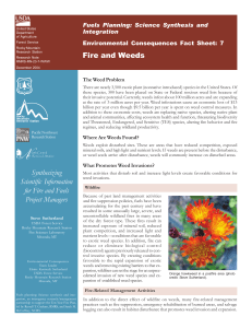 Fire and Weeds Fuels Planning: Science Synthesis and Integration
