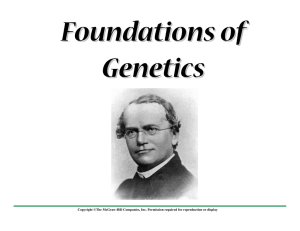 Foundations of Genetics