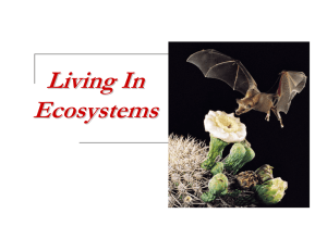 Living In Ecosystems