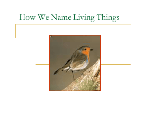 How We Name Living Things