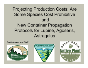 Projecting Production Costs: Are Some Species Cost Prohibitive and New Container Propagation