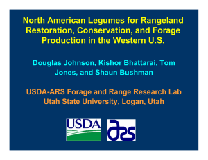 North American Legumes for Rangeland Restoration, Conservation, and Forage