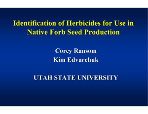 Identification of Herbicides for Use in Native Forb Seed Production