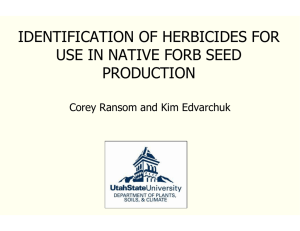 IDENTIFICATION OF HERBICIDES FOR USE IN NATIVE FORB SEED PRODUCTION