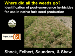Where did all the weeds go? Identification of post-emergence herbicides