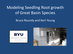 Modeling Seedling Root growth of Great Basin Species