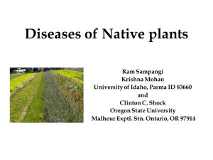 Diseases of Native plants