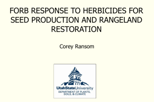 FORB RESPONSE TO HERBICIDES FOR SEED PRODUCTION AND RANGELAND RESTORATION