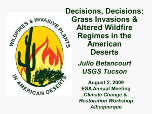 Decisions, Decisions: Grass Invasions &amp; Altered Wildfire Regimes in the