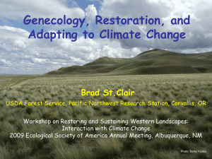 Genecology, Restoration, and Adapting to Climate Change Brad St.Clair