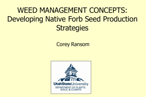 WEED MANAGEMENT CONCEPTS: Developing Native Forb Seed Production Strategies Corey Ransom