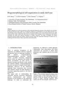 Biogeomorphological self-organization in sandy shelf seas