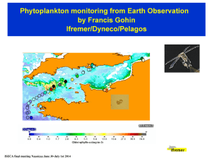 Phytoplankton  monitoring from  Earth  Observation Ifremer/Dyneco/Pelagos Ifremer