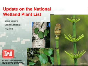 Update on the National Wetland Plant List  BUILDING STRONG