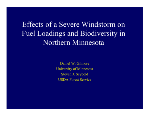 Effects of a Severe Windstorm on Fuel Loadings and Biodiversity in