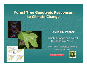 Forest Tree Genotypic Responses to Climate Change Kevin M. Potter
