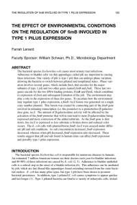 THE EFFECT OF ENVIRONMENTAL CONDITIONS TYPE 1 PILUS EXPRESSION Farrah Lenard