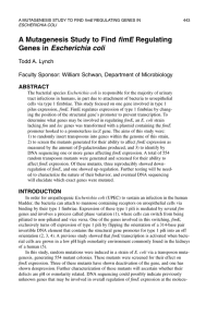 fimE Escherichia coli Todd A. Lynch Faculty Sponsor: William Schwan, Department of Microbiology