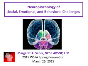 Neuropsychology of Social, Emotional, and Behavioral Challenges 2015 WSPA Spring Convention