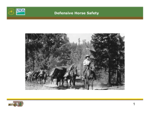 Defensive Horse Safety 1