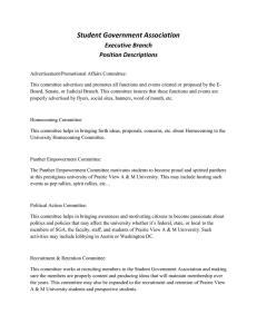 Student Government Association Executive Branch Position Descriptions