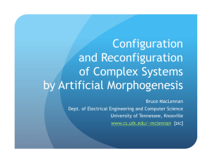 Configuration and Reconfiguration of Complex Systems by Artificial Morphogenesis