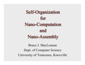Self-Organization for Nano-Computation and