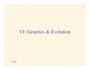 VI: Genetics &amp; Evolution 11/12/03 1