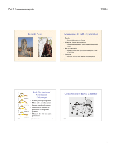 Termite Nests Alternatives to Self-Organization Part 3: Autonomous Agents 9/20/04