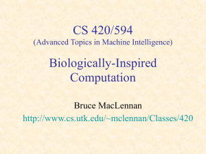 CS 420/594 Biologically-Inspired Computation Bruce MacLennan