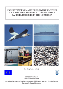 UNDERSTANDING MARINE FOODWEB PROCESSES: AN ECOSYSTEM APPROACH TO SUSTAINABLE